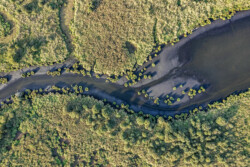 Survol en drone des marais de Brière