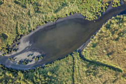 Survol en drone des marais de Brière