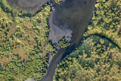 Survol en drone des marais de Brière
