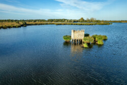 Survol en drone des marais de Brière
