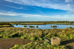 Survol en drone des marais de Brière