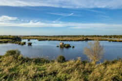 Survol en drone des marais de Brière