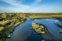 Survol en drone des marais de Brière