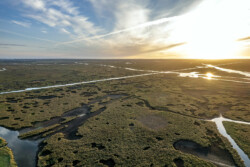 Survol en drone des marais de Brière