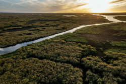 Survol en drone des marais de Brière