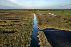 Survol en drone des marais de Brière