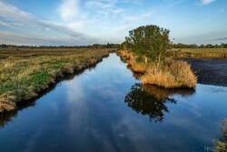 Survol en drone des marais de Brière