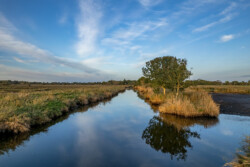 Survol en drone des marais de Brière