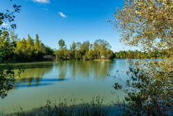 Immobilier Le Fleix - Etang de pêche