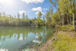 Immobilier Le Fleix - Etang de pêche