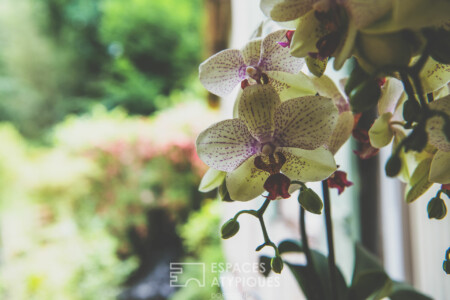 Immobilier Nontron - Jardin