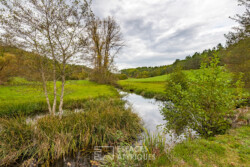 Immobilier Rouffignac - Le panorama