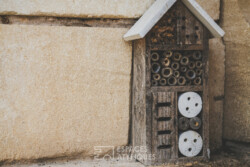Immobilier Rouffignac - Illustration