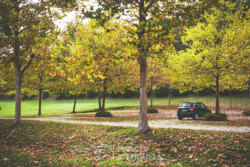 Immobilier Rouffignac - Le parking