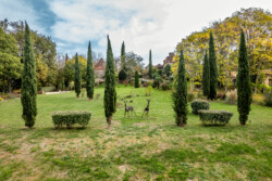 Immobilier Saint Chamassy - Vues aériennes