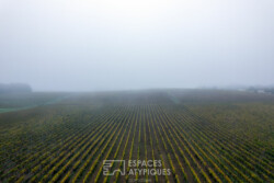 Immobilier RUCH - environnement