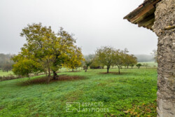 Immobilier RUCH - jardin