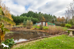 Immobilier Sanilhac - étang