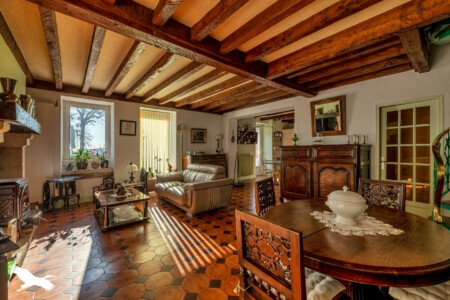 Immobilier Chapelle Gonaguet - le séjour