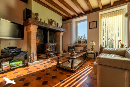 Immobilier Chapelle Gonaguet - le salon
