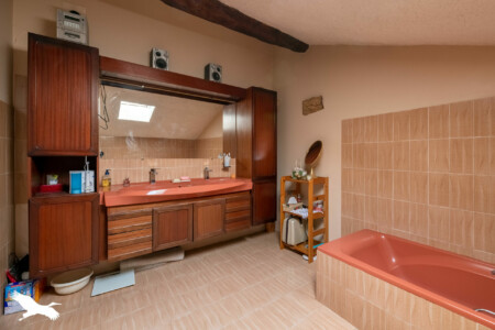 Immobilier Chapelle Gonaguet - la salle de bain