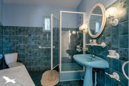 Immobilier Chapelle Gonaguet - La salle d'eau