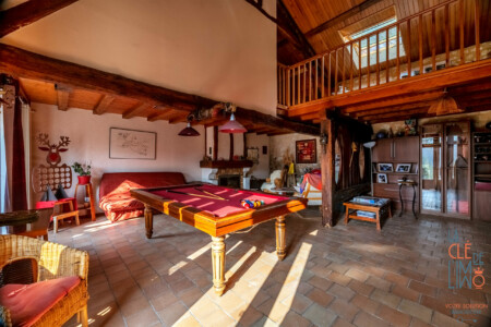 Immobilier Château l'Évêque - Salon Séjour