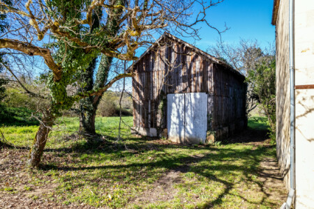 Immobilier Trémolat - séchoir