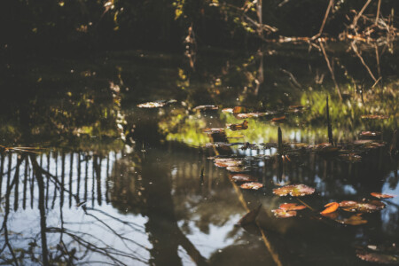 Immobilier Bergerac - Jardin