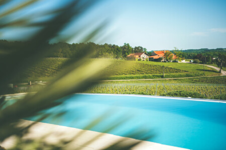 Immobilier Monbazillac - La piscine