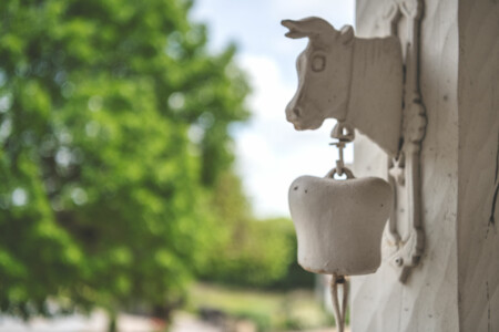 Immobilier Brouchaud - Le jardin