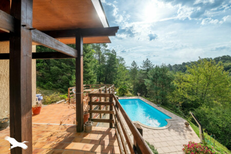 immobilier Boulazac - Vue sur la piscine depuis la terrasse