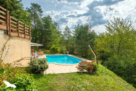 immobilier Boulazac - la piscine