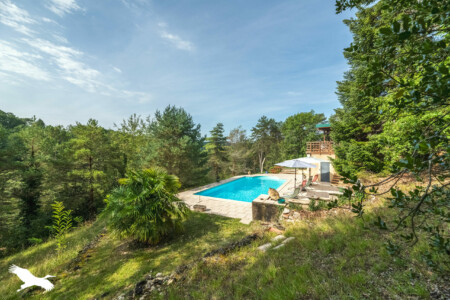 immobilier Boulazac - la piscine