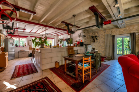 Immobilier Lisle - Salle de vie - coin cuisine