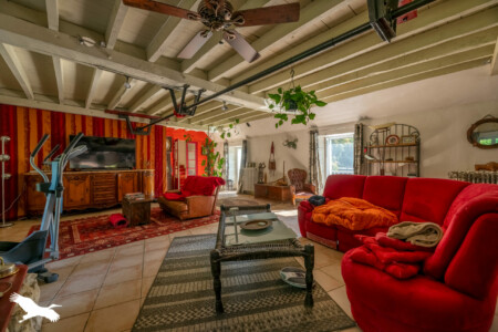 Immobilier Lisle - Salle de vie - coin salon