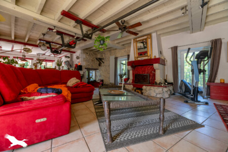 Immobilier Lisle - Salle de vie - coin salon