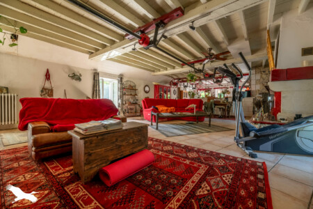 Immobilier Lisle - Salle de vie - coin salon