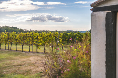 Immobilier Le Fleix 51 Immobilier Le Fleix - En bordure de vignoble