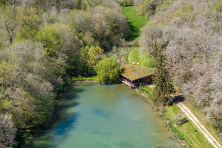 Fuste en bordure d'étang photographiée par Jean-Luc Renouil, photographe immobilier et pilote de drone en Dordogne.