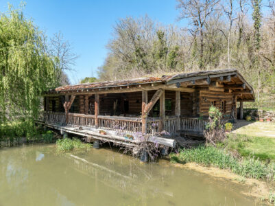 Fuste en bordure d'étang photographiée par Jean-Luc Renouil, photographe immobilier et pilote de drone en Dordogne.