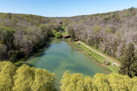 Fuste en bordure d'étang photographiée par Jean-Luc Renouil, photographe immobilier et pilote de drone en Dordogne.