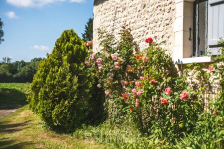 Moulin de Nanteuil photographié par Jean-Luc Renouil, photographe immobilier et pilote de drone en Dordogne