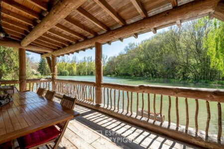 Fuste en bordure d'étang photographiée par Jean-Luc Renouil, photographe immobilier et pilote de drone en Dordogne.