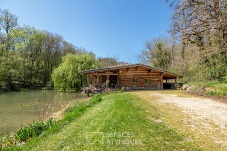 Fuste en bordure d'étang photographiée par Jean-Luc Renouil, photographe immobilier et pilote de drone en Dordogne.