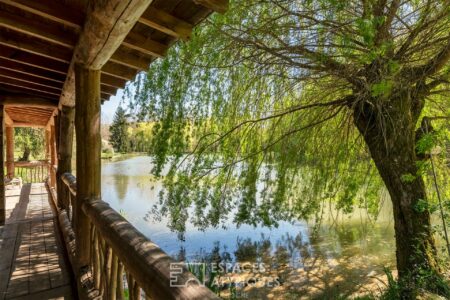 Fuste en bordure d'étang photographiée par Jean-Luc Renouil, photographe immobilier et pilote de drone en Dordogne.