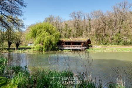 Fuste en bordure d'étang photographiée par Jean-Luc Renouil, photographe immobilier et pilote de drone en Dordogne.