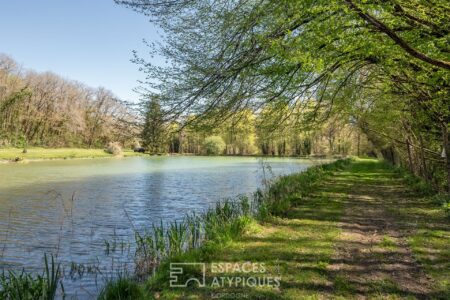 Fuste en bordure d'étang photographiée par Jean-Luc Renouil, photographe immobilier et pilote de drone en Dordogne.