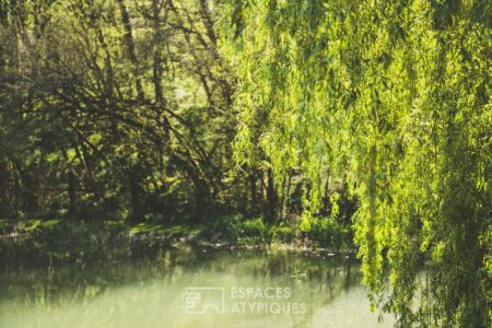Fuste en bordure d'étang photographiée par Jean-Luc Renouil, photographe immobilier et pilote de drone en Dordogne.