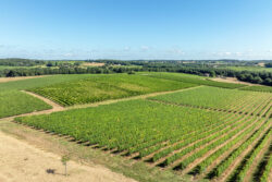 Immobilier Pellegrue 5 Maison d'artiste à Pellegrue photographiée par Jean-Luc Renouil, photographe immobilier et pilote de drone en Dordogne.